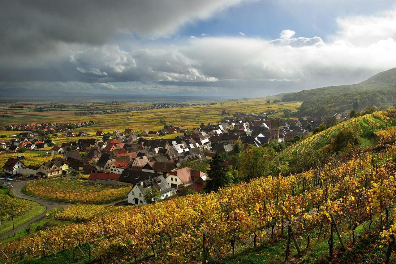 Chez Christian Apartment Breitenbach-Haut-Rhin Exterior photo